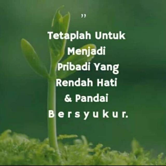 rahayupurwantiningrum