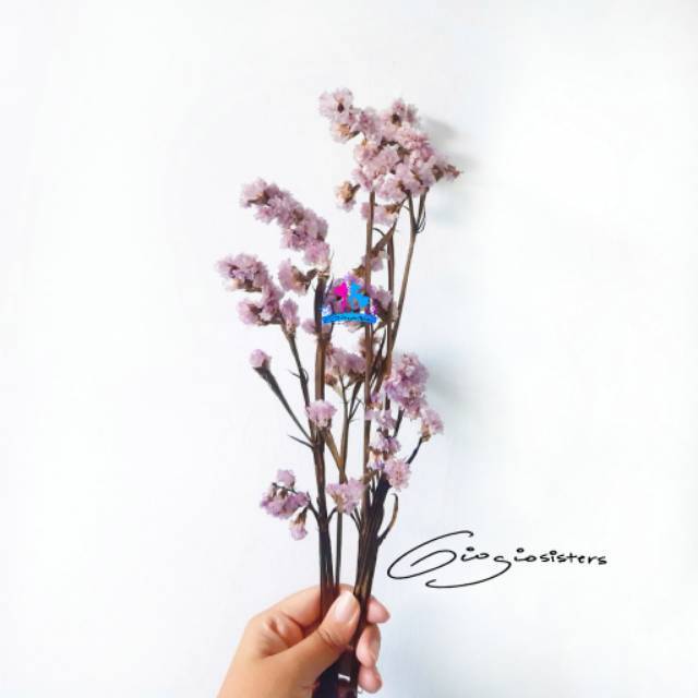 Bunga Kering Statice Pink | Dried Flower | Bunga Kering