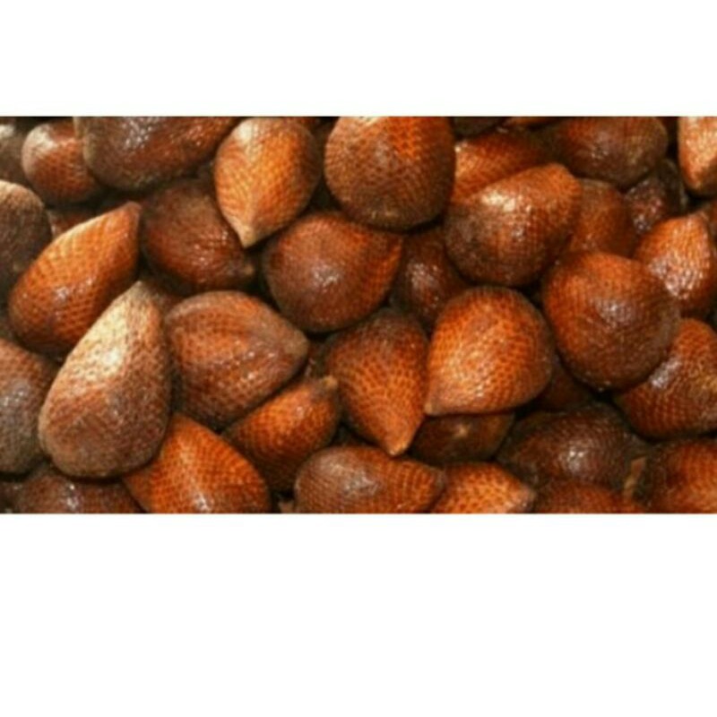 

salak pondoh, buah salak 1kg ukuran kecil