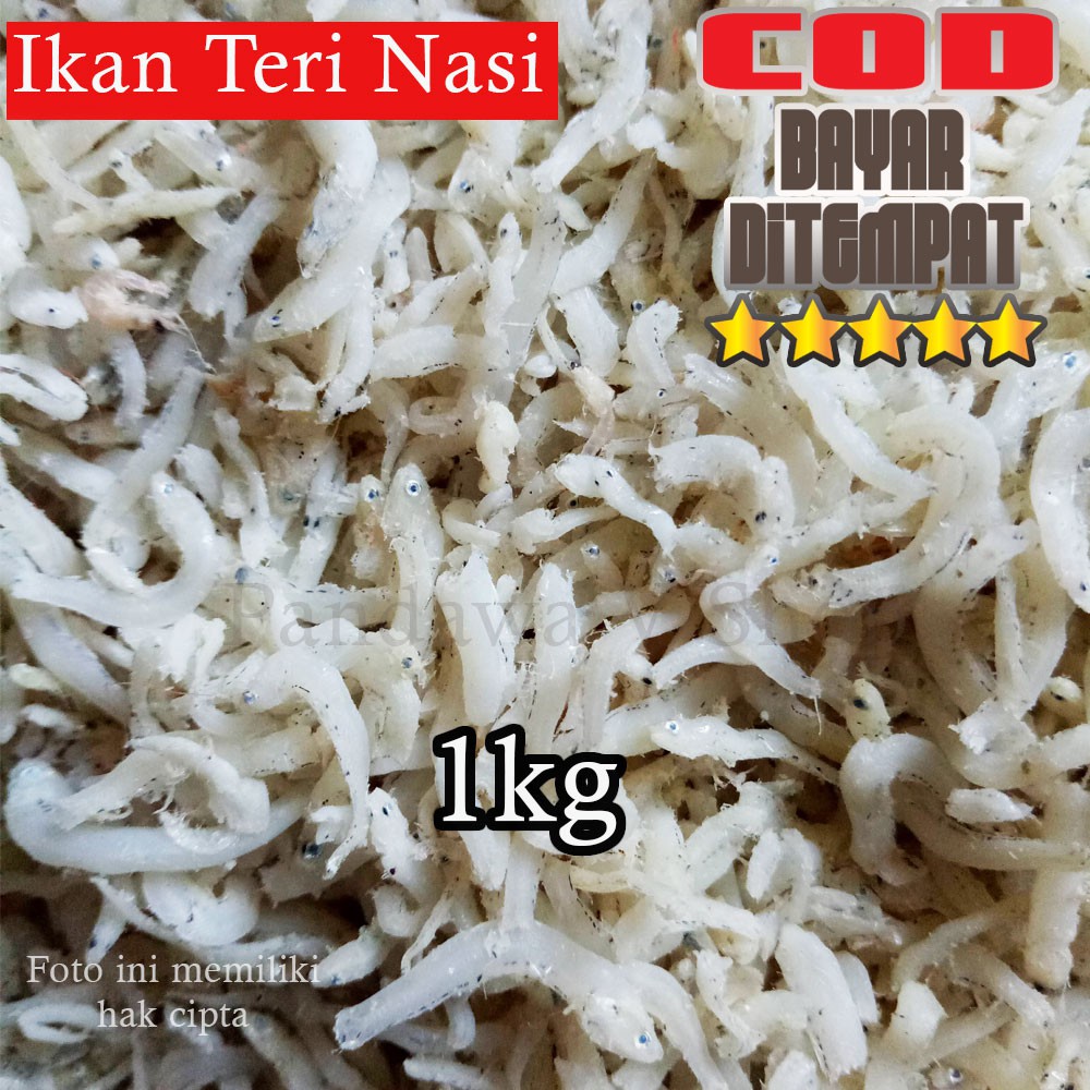 

ikan teri nasi khas medan. enak dan bergizi COD