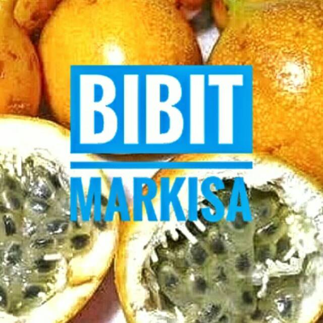 Bibit Markisa Kuning || Bibit Markisa Manis