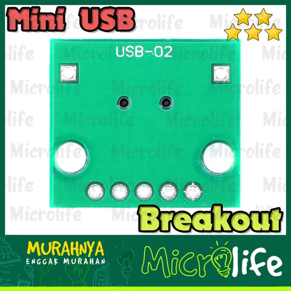 Mini USB Converter Breakout Board to 5 Pin DIP Female