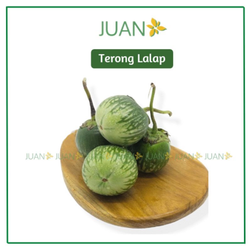 

Terong Lalap Hijau 500gr - Juan Freshmart