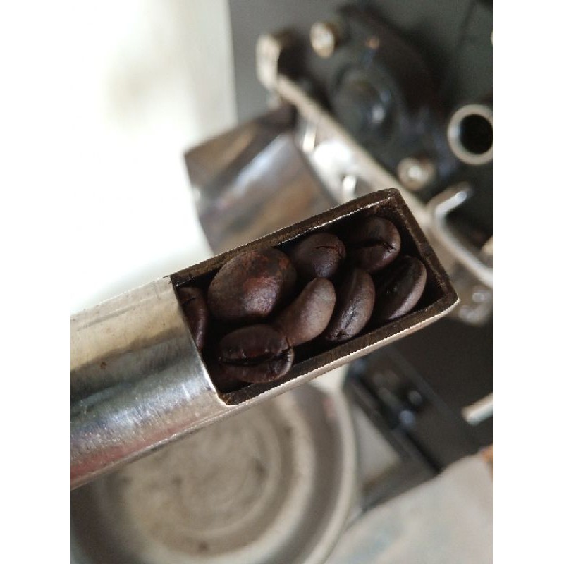 

Robusta roastbean proses medium 500 gram