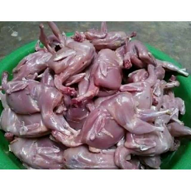 daging puyuh /ayam puyuh fres