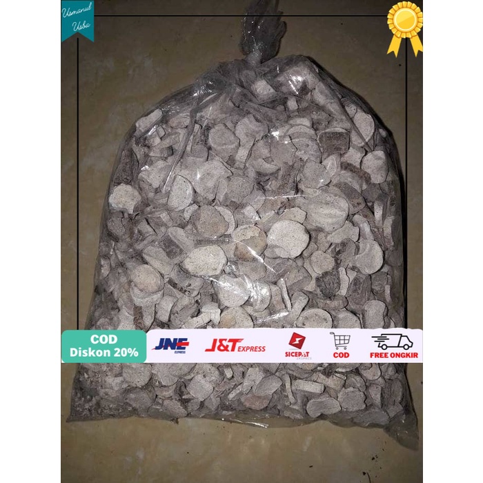 

◾COD◾ Keladi Tikus Kering 1 kg