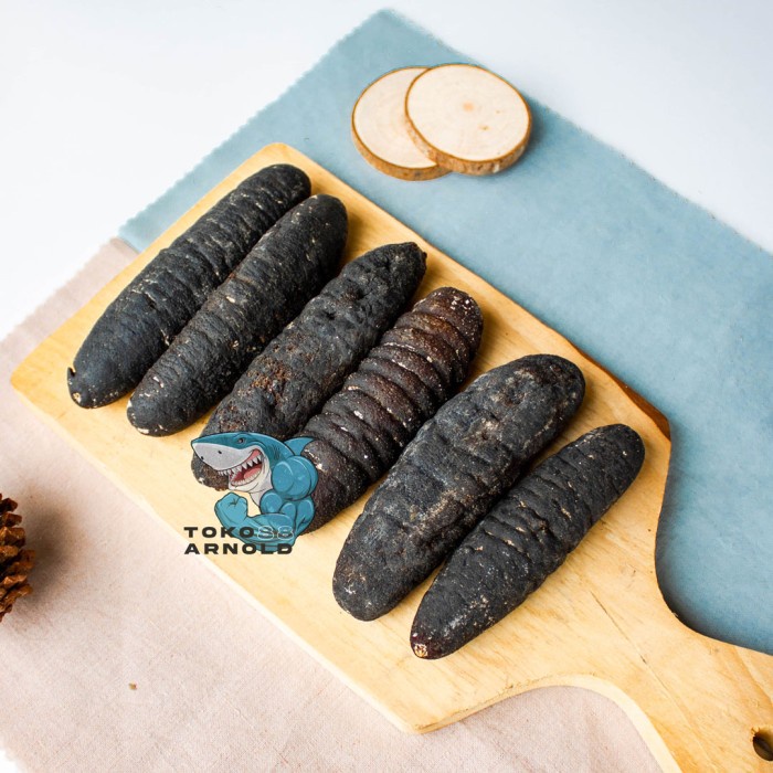 

✨COD✨ Haisom Kering Teripang ASLI Belitung Isi 10 per 500 Gr / Lintah Laut