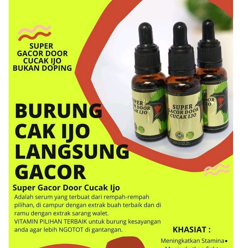 penggacor cucak ijo super gacor door cucak ijo juara gantang