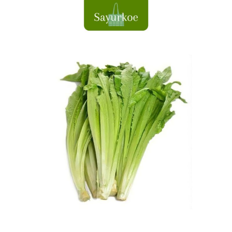 Sayuran Siomak Fresh