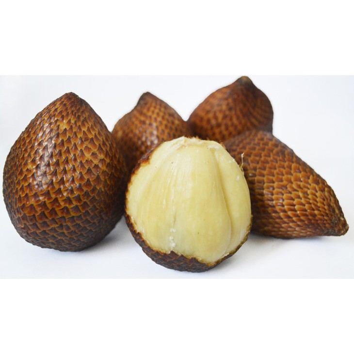 

SALAK PONDOH ORGANIK BSP FARM 1KG