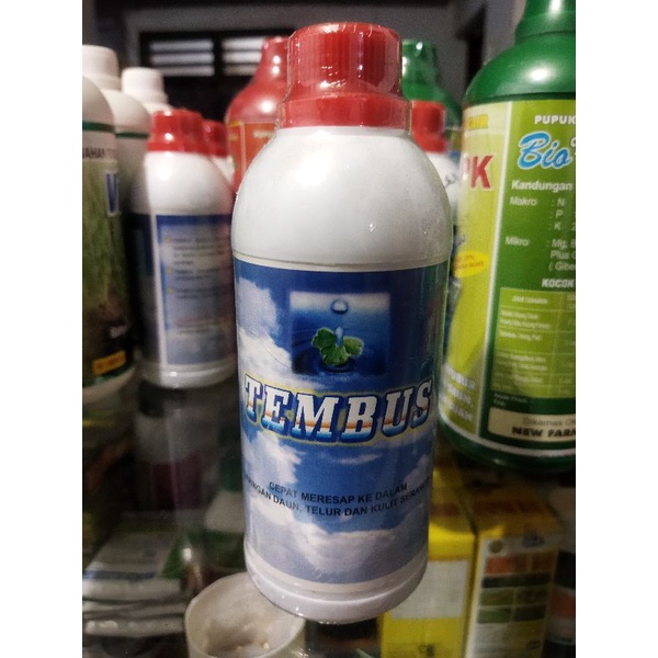 TEMBUS perekat perata penembus