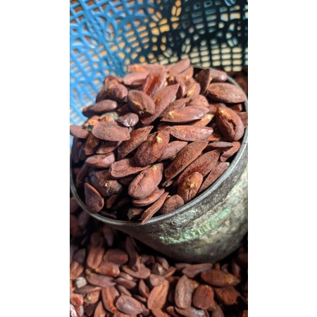 

kacang kenari kulit