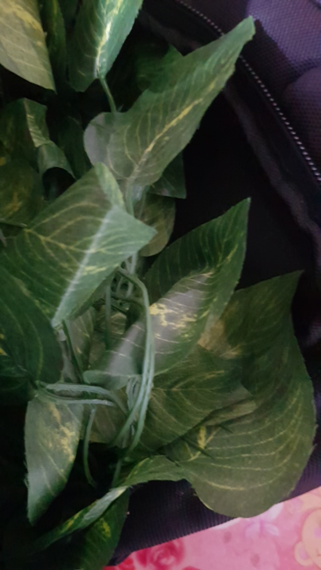 Termurah!!! Daun Rambat Plastik/ Daun Rambat Palsu / Daun Rambat Sintetis /aquaria Qr0941