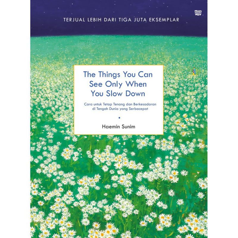 THE THINGS YOU CAN SEE ONLY WHEN YOU SLOW DOWN : HAENIM SUNIM