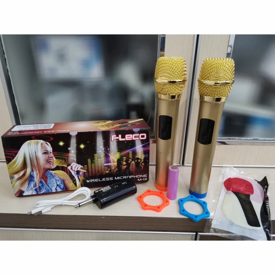 PROMO MICROPHONE FLECO M-12/MICROPHONE PROFESIONAL WIRELESS MIC DOUBLE M-12 FC PROMO