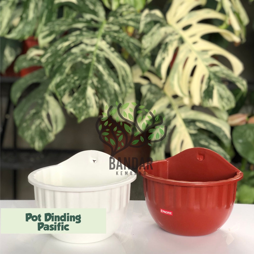 Pot Dinding Pacific Warna Merah Bata Dan Putih - Pot Dinding Tempel Bentuk Bunga - Pot Dinding Monst