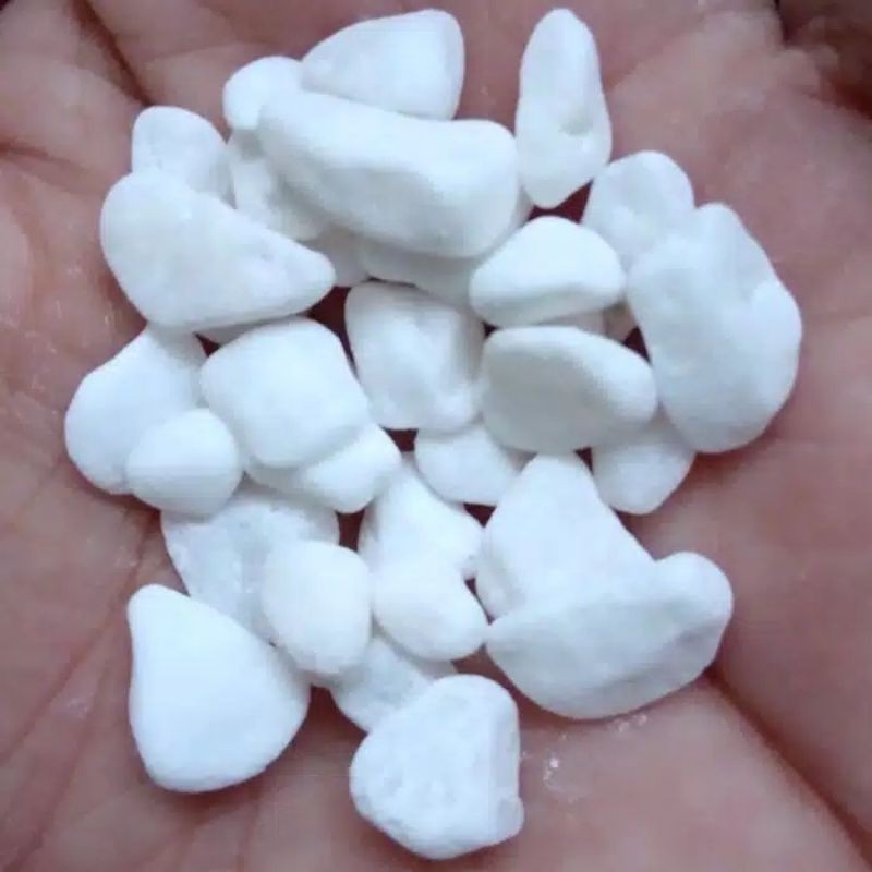 Batu Coral Putih Mutiara Italy 2kg Batu Hias Putih