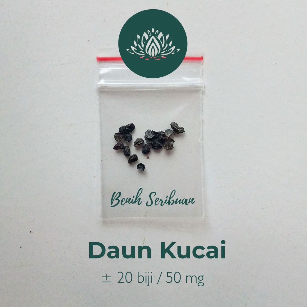 20 Bibit Daun Bawang Kucai F1 Nien Hwa Benih Sayuran Herbal Organik Herb Garlic Chives Tanaman Sayur