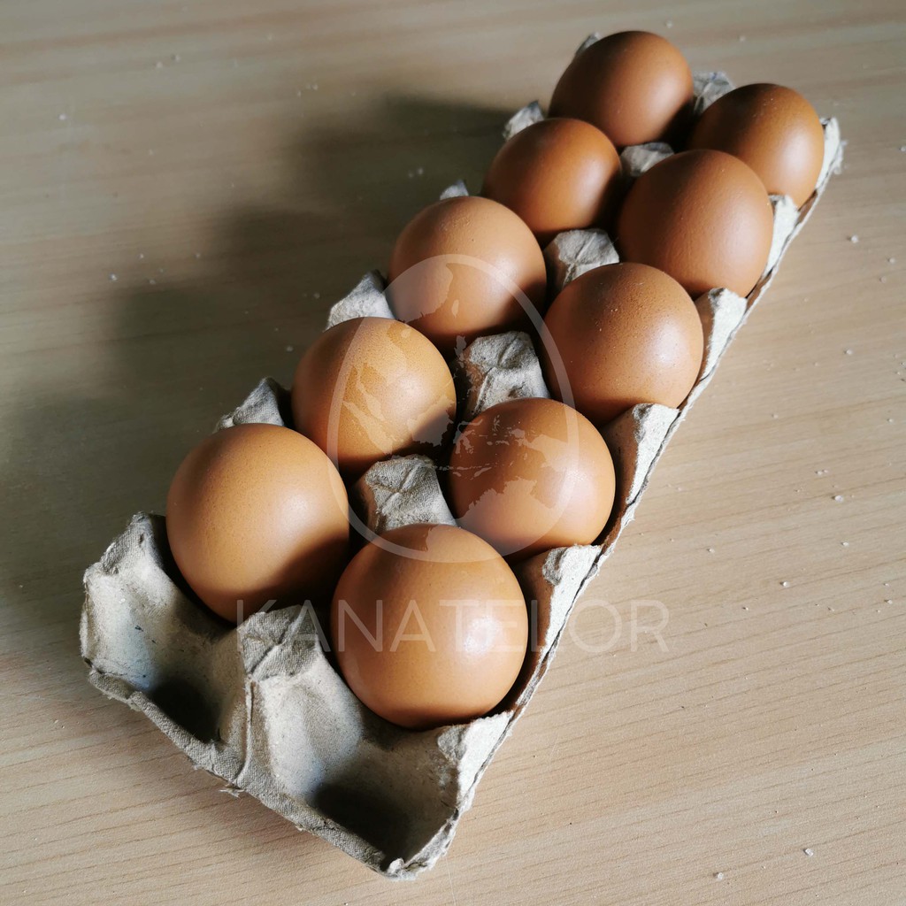 

Telur Ayam Isi 10 Butir
