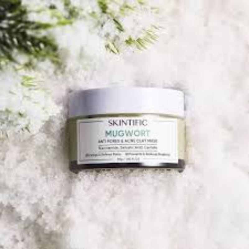 ♥️Afnansa♥️  SKINTIFIC Mugwort Anti Pores &amp; Acne Clay Mask