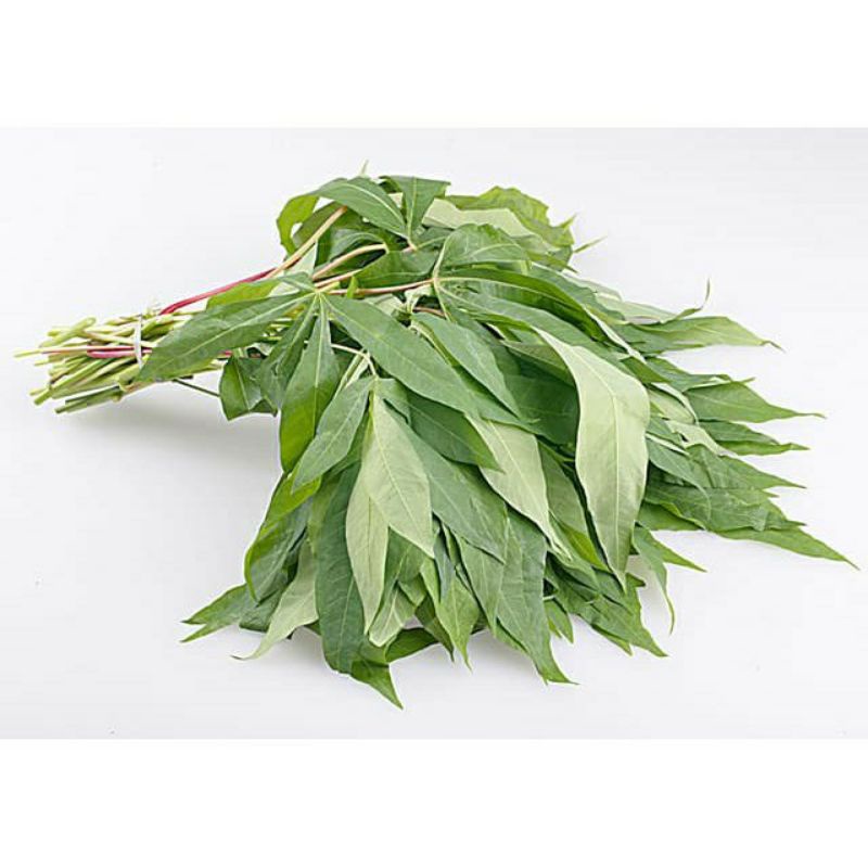 

Daun Singkong per ikat