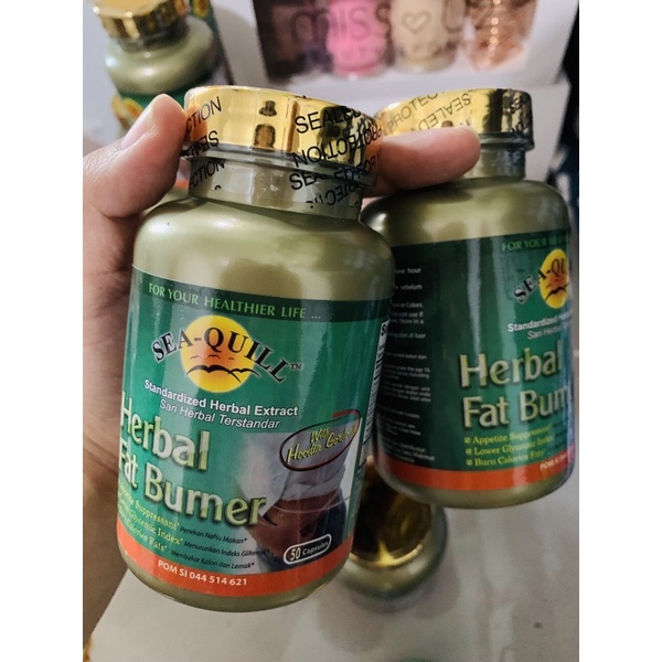 COD SEA QUILL HERBAL FAT BURNER [PELANGSING] ORIGINAL