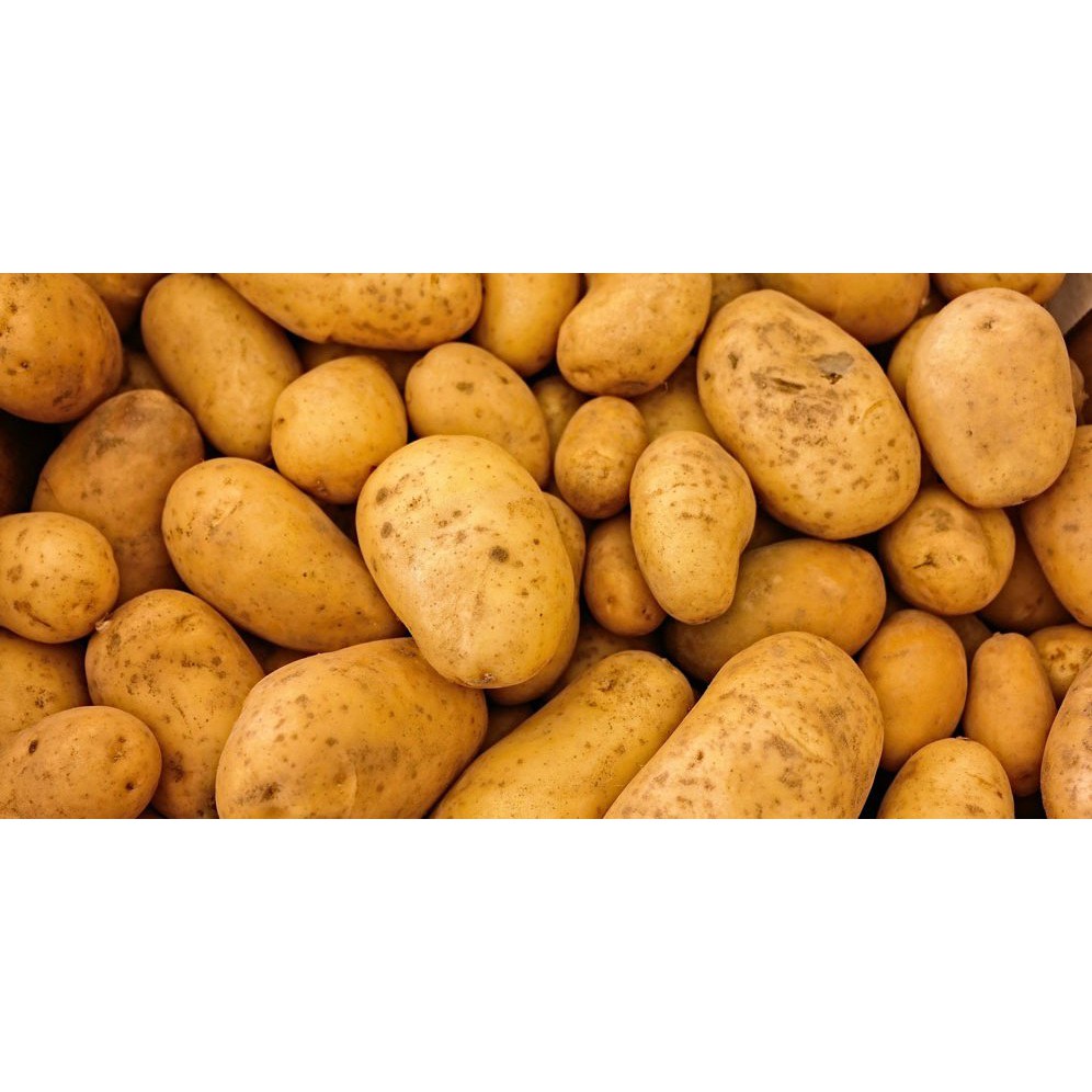 Kentang Segar Lokal 500gr - 1Kg |  Fresh Local Potato