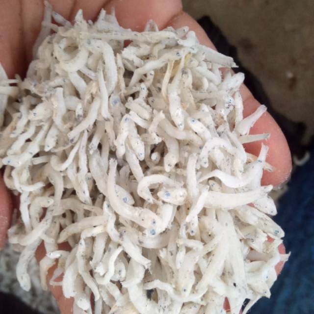

Teri nasi medan 1kg