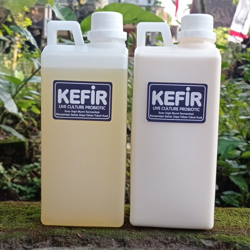 

Kefir Susu Sapi Murni 1 liter Untuk Maag Diabetes Diet Keto