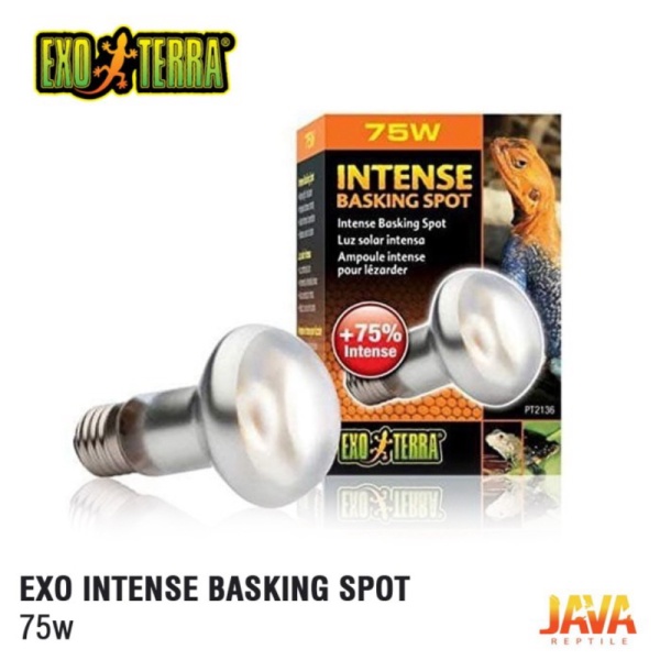 promo murah Moss Darat Pillow pernampanisi full nampan diameter 17x22x3 Berkualitas