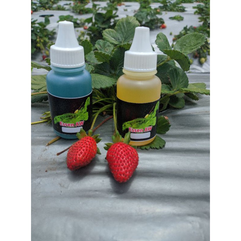 essen premium khusus ikan nila babon