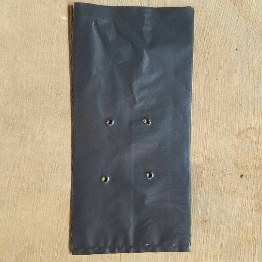 POLYBAG / POLIBEK SEMAI UKURAN 60 x 60 / 60x60