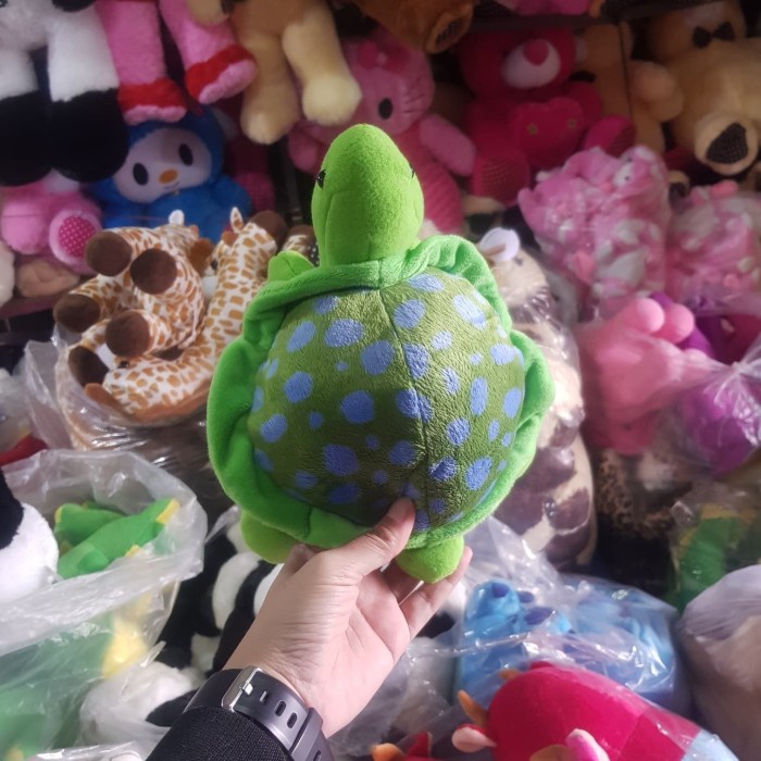 Diskon Spesial Foto Asli Boneka Bekicot Keong Tutut Penyu Kura Kura Turtle Hijau I Terbaru