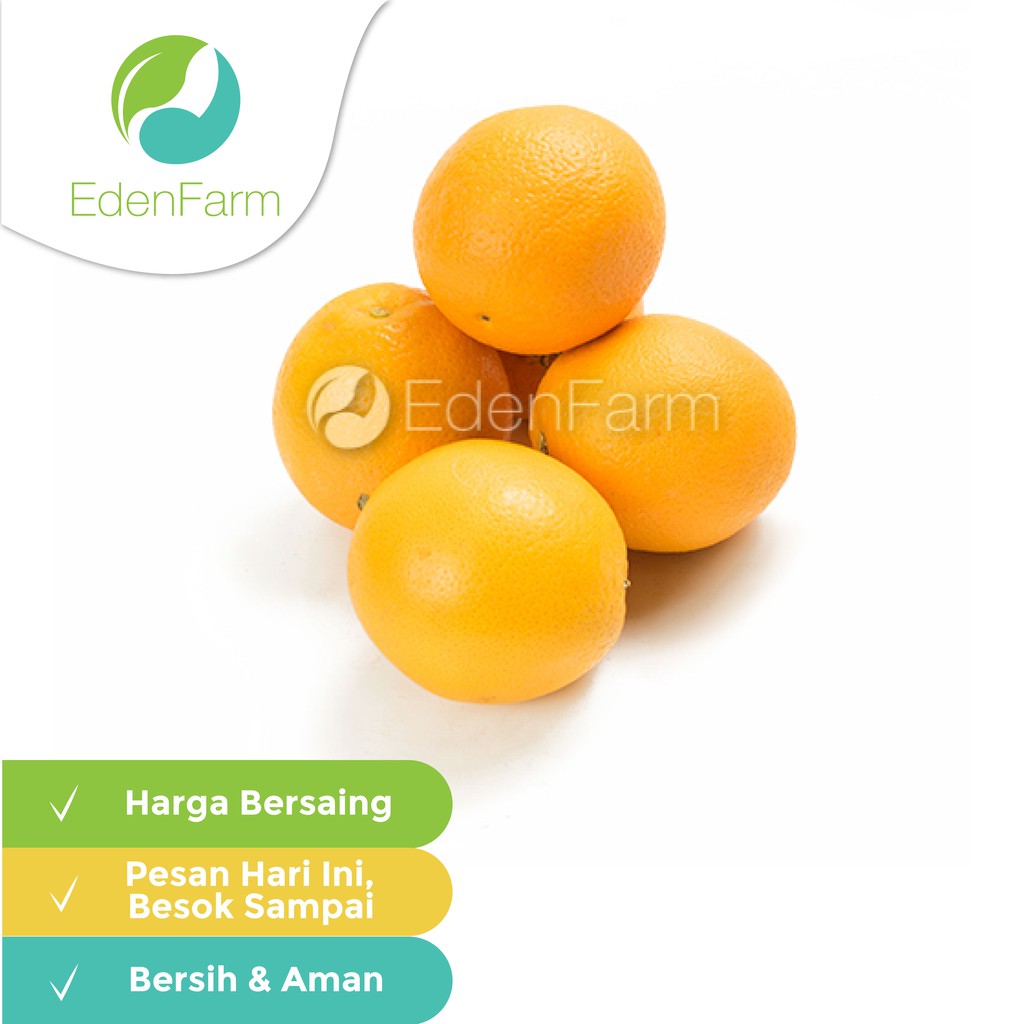 

Jeruk Sunkist Valencia 500gr Eden Farm