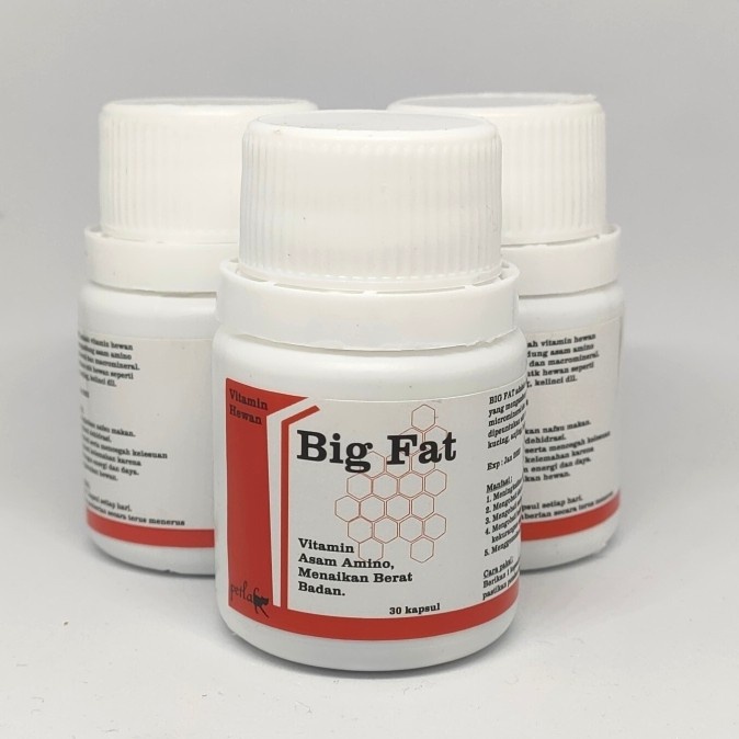 Big Fat Cat - Suplemen Penggemuk Kucing - Vitamin Penggemuk Kucing