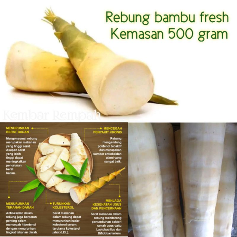 

Rebung bambu fresh organik 500 gram