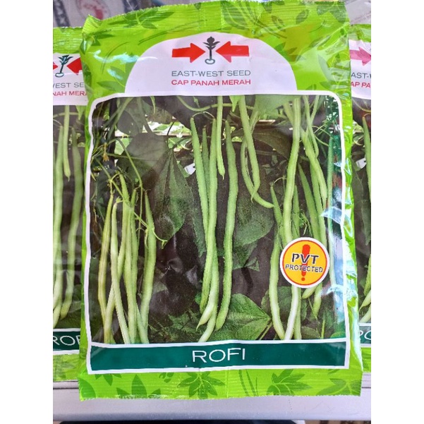 Rofi Benih Buncis 500gr