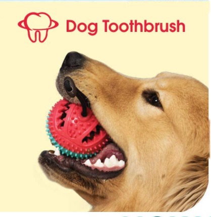 Self Tooth brush Molar Bite Treats ball