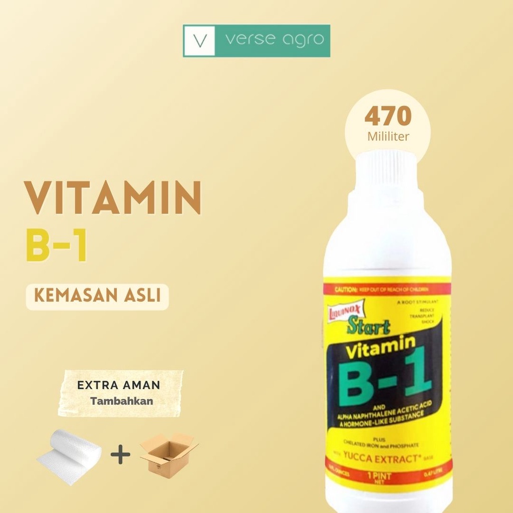 Jual VITAMIN B1 LIQUINOX 470ML | Shopee Indonesia