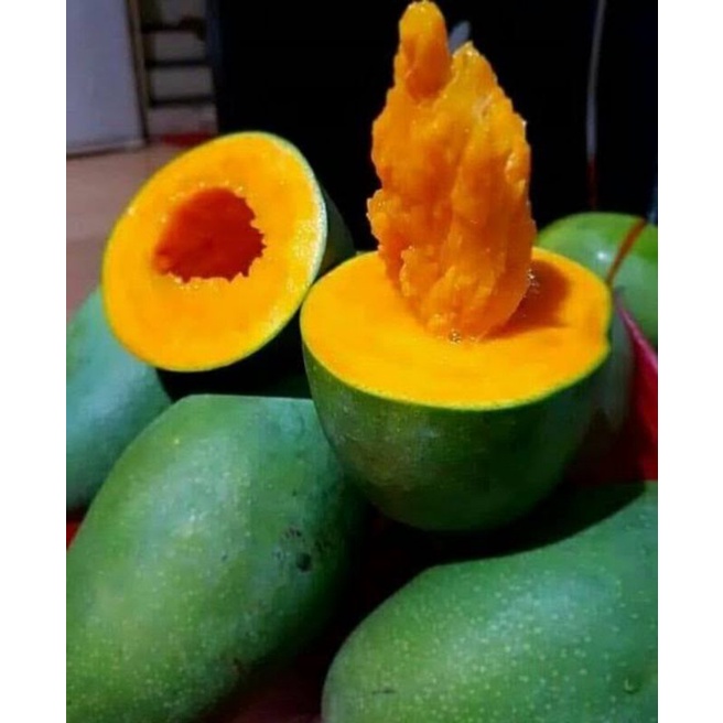 Jual Buah Mangga Khas Bangil Gadung Kg Shopee Indonesia