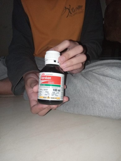 Insektisida Dursban 200 Ec 100 Ml