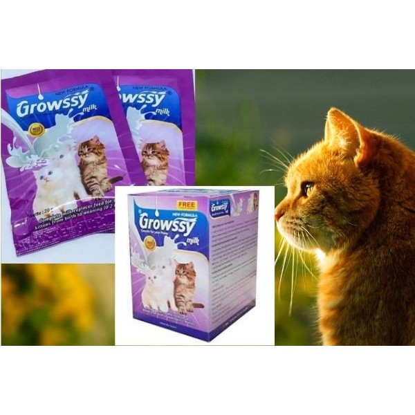 PH.Medan Growssy Milk Kitten 20gr Sachet/ Susu Anak Kucing