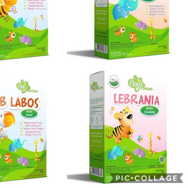 ♦ Nayz Bubur Bayi Organik Tematik 300 gram ☄