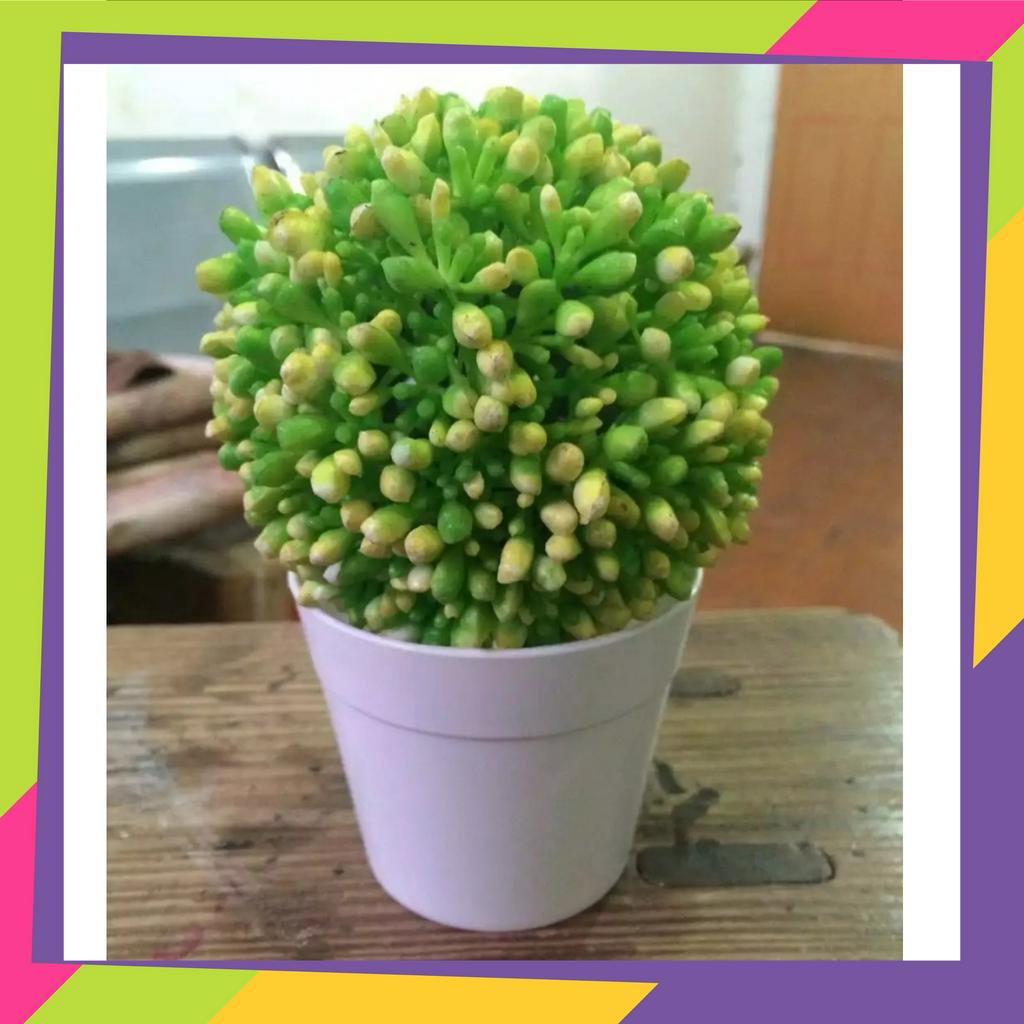 1154D1 / Pot bunga plastik bulat putih / Pot bunga tanaman Artificial