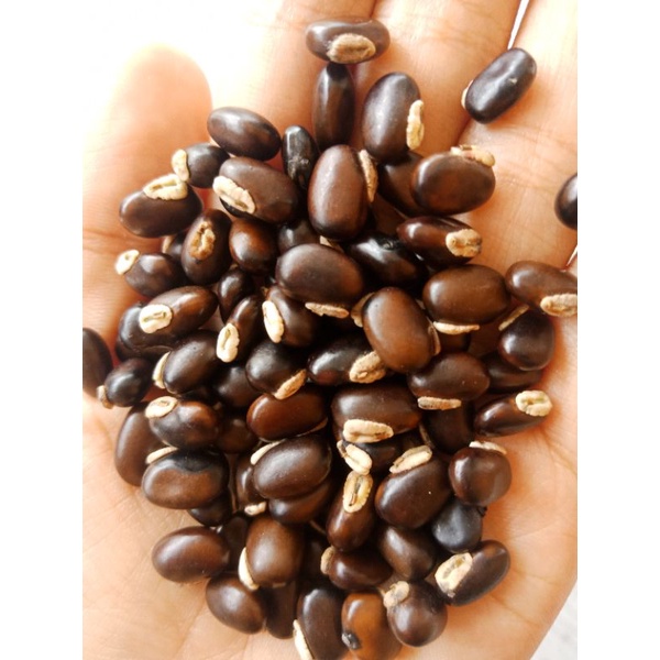 

Mucuna Bracteata ( MB )