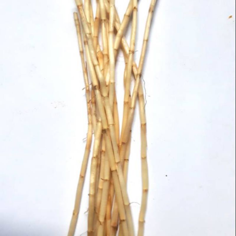 

AKAR ALANG ALANG / Oyot alang alang 400gr