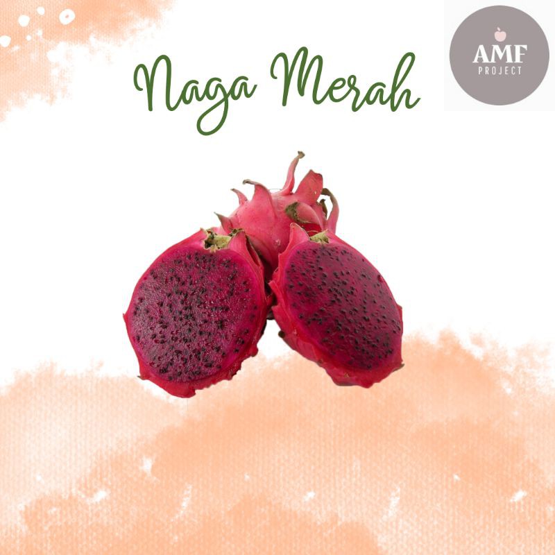 

BUAH NAGA MERAH PER 1KG FRESH DAN MANIS