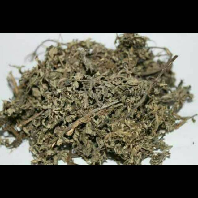 

Daun Baru China/ Daun Hia / Mugwort Kering