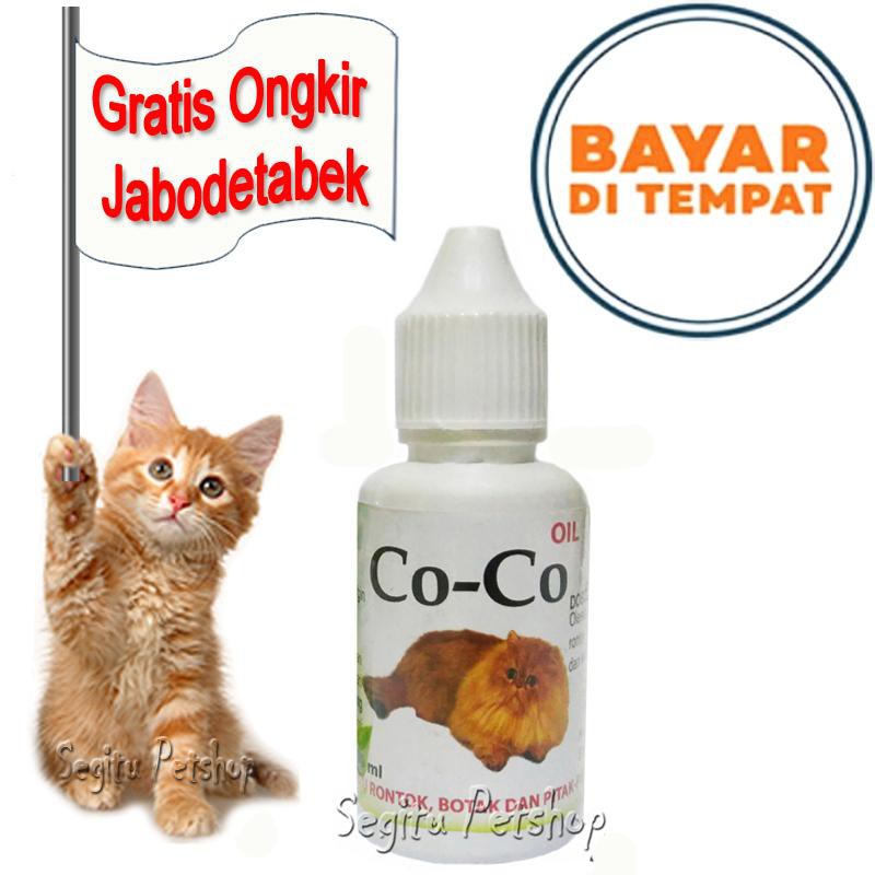 obat vitamin kucing coco oil penumbuh bulu pitak botak kucing  anjing