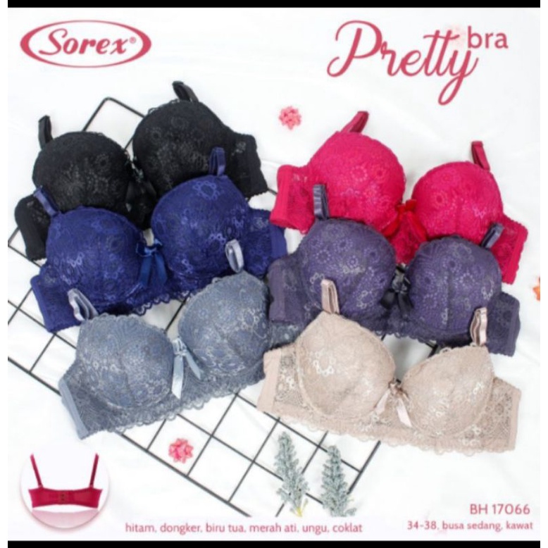BH Sorex kawat busa sedang